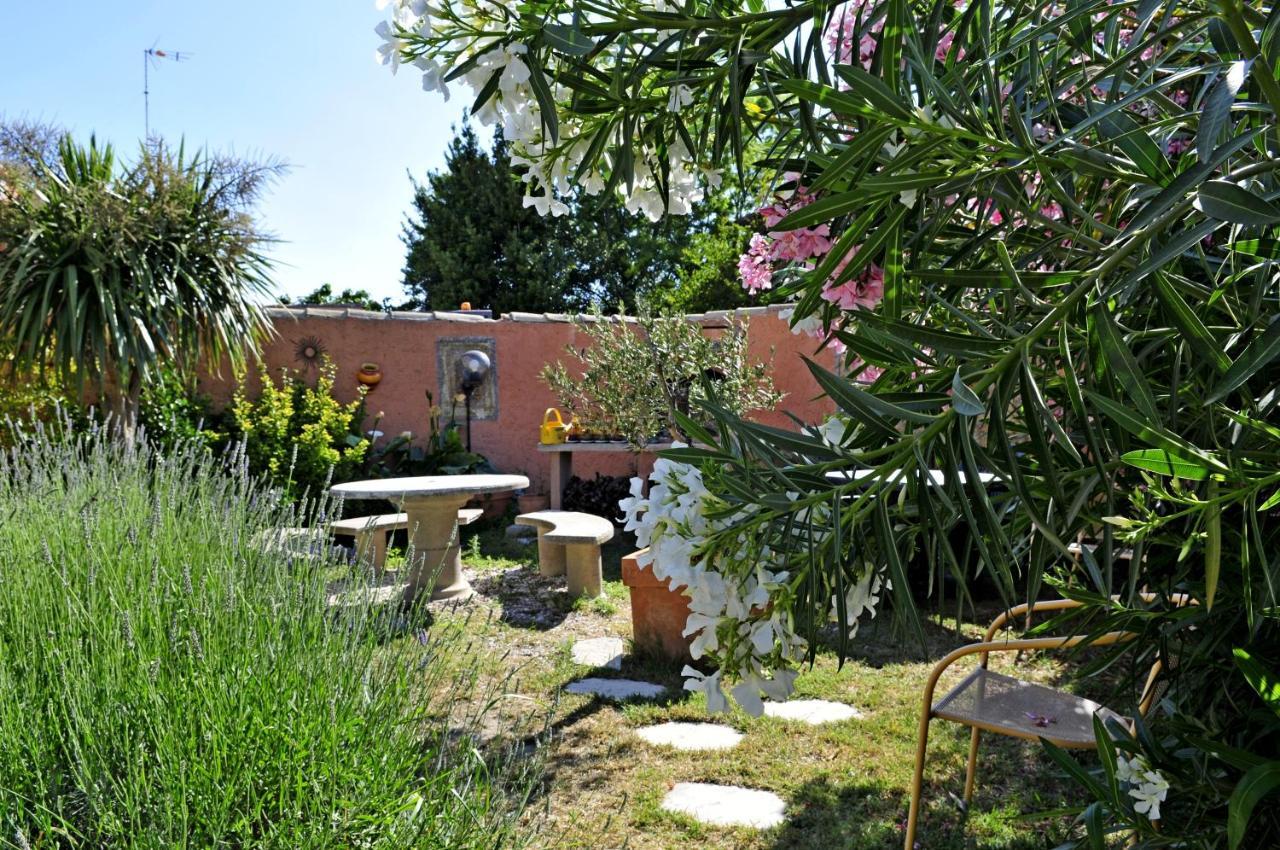 Maison Des Croisades Aigues-Mortes Esterno foto
